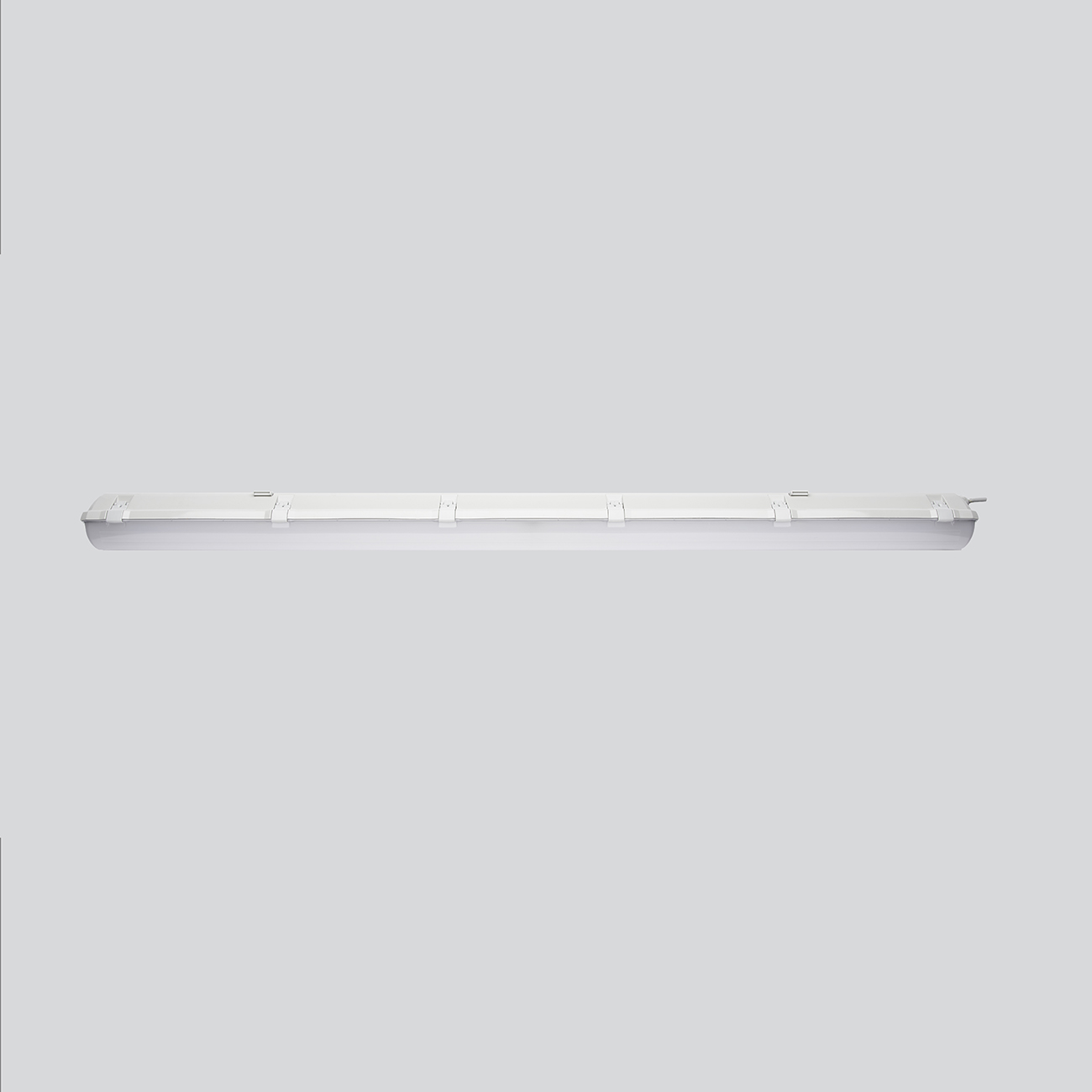 Ceilled plastica